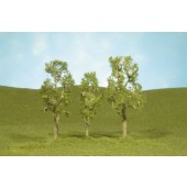 BAC32010  3-4: Aspen Trees - 3 Pack