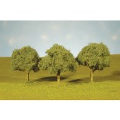 BAC32213  4.5" - 5" Oak Trees - 2 Pack